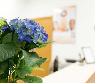 Flower design at the West Liberty, IA, North Liberty, IA and Muscatine, IA Dental Offices | Gentle Family Dentists